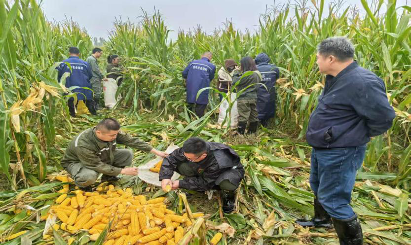 b5ce847493120215b260a2cf3704935f.png b5ce847493120215b260a2cf3704935f.png