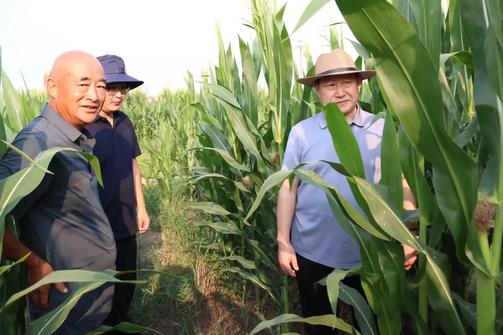 b7af2a80df2a726bb2da14761e431ace.jpg b7af2a80df2a726bb2da14761e431ace.jpg